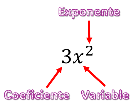 coeficiente, variable y exponente